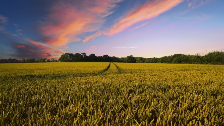 Land Financing