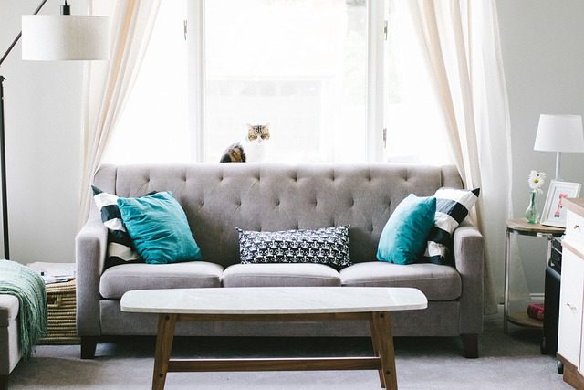 Finding the Perfect Roommate or Rental