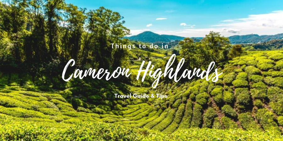Cameron Highlands Accommodation