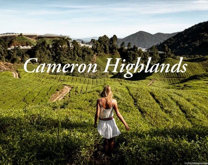 Cameron Highland Backpacker Hostel