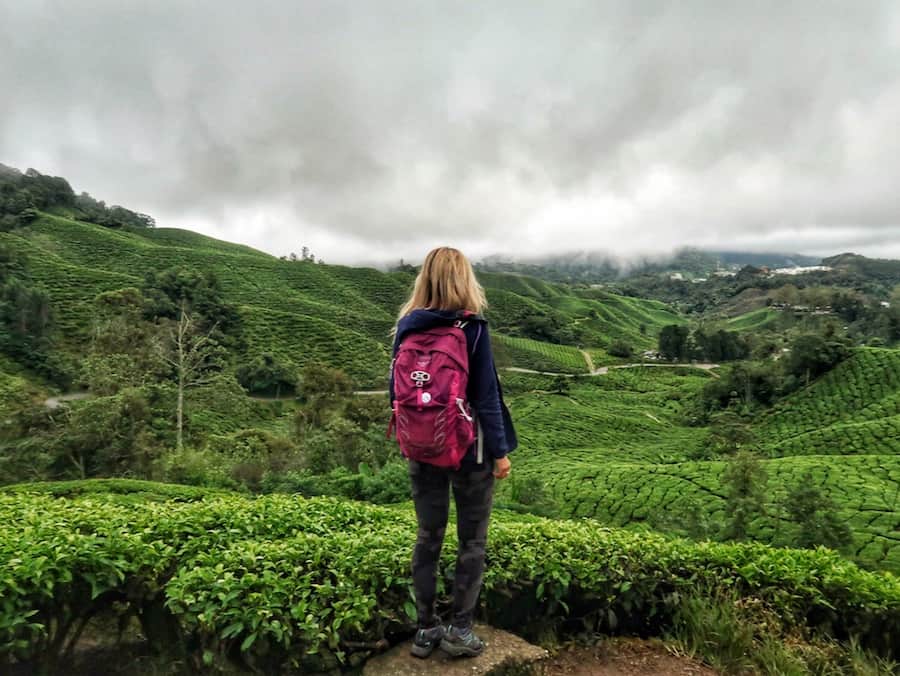 Cameron Highlands Guesthouse